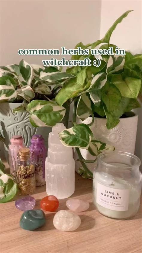 Awakening Your Inner Witch: Exploring Self-Discovery with Vanilla Witchcraft Cups